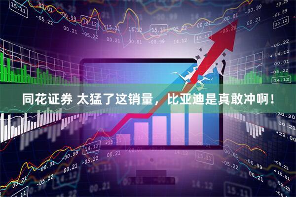 同花证券 太猛了这销量，比亚迪是真敢冲啊！
