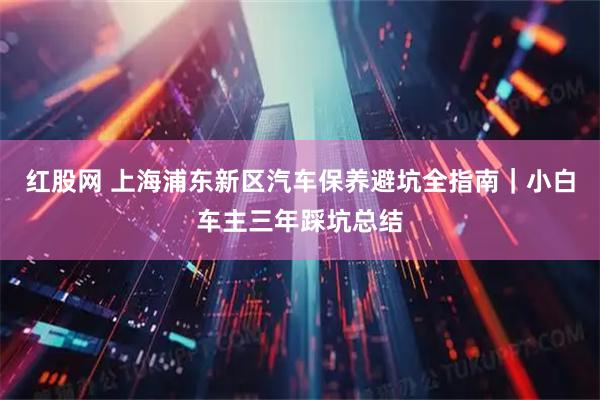 红股网 上海浦东新区汽车保养避坑全指南｜小白车主三年踩坑总结