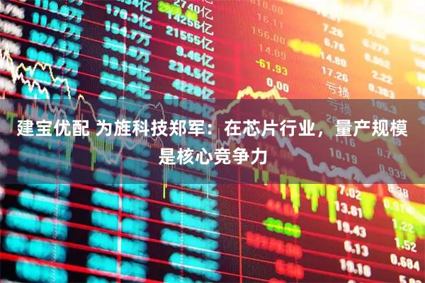 建宝优配 为旌科技郑军:在芯片行业,量产规模是核心竞争力